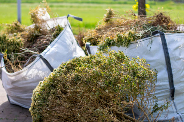 Best Trash Removal Near Me  in Yardley, PA